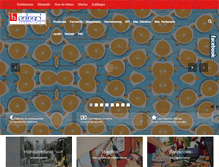 Tablet Screenshot of ferreteriapelegri.com
